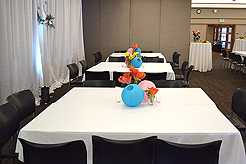 SPRING HAS SPRUNG BAT MITZVAH